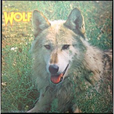 DARRYL WAY'S WOLF Canis Lupus (Deram DL 45) Japan 1973 LP